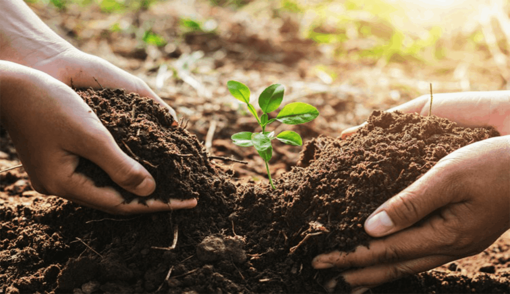 Role of Soil productivity in Agriculture Development