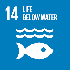 image of UNSDG-13