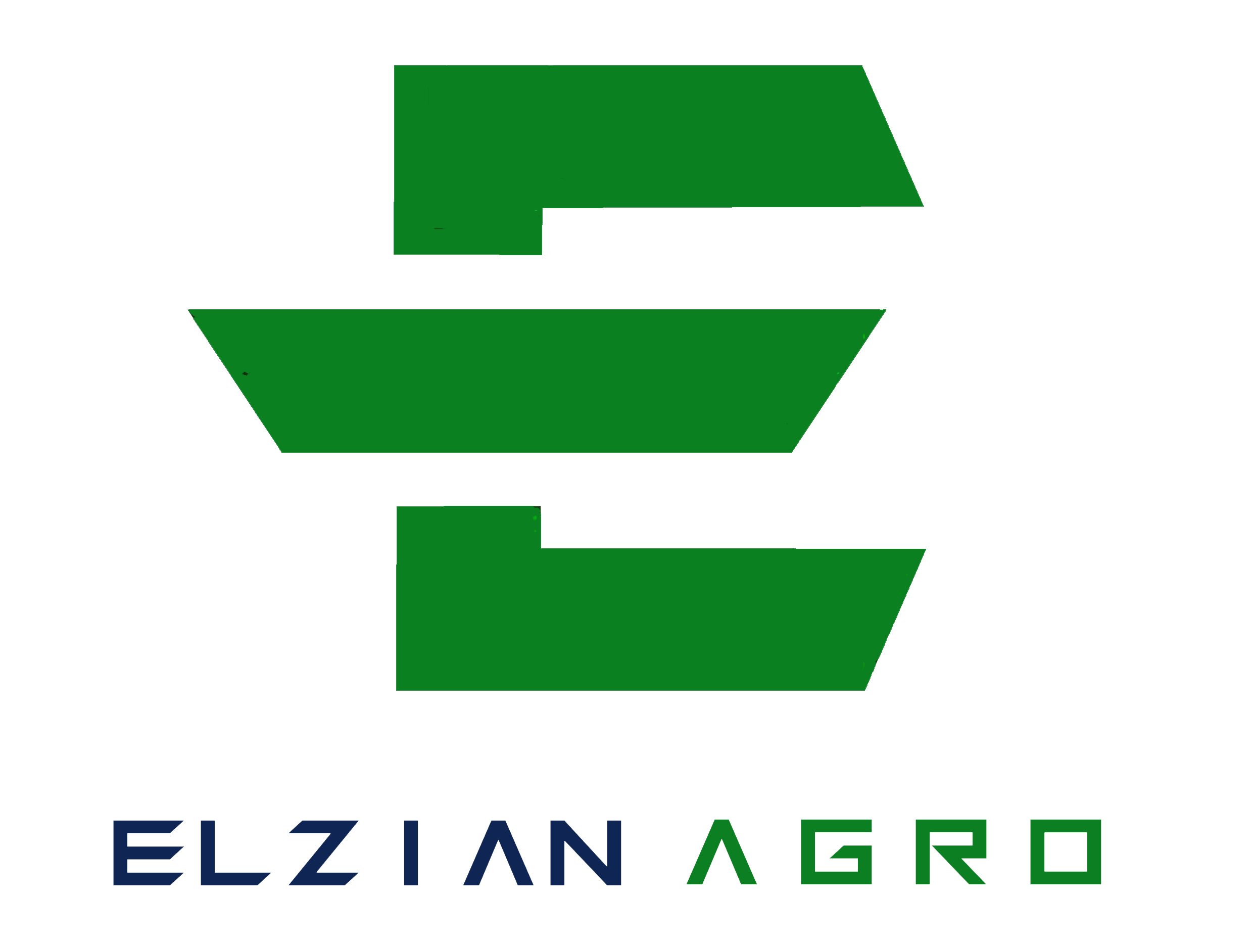 Large logo